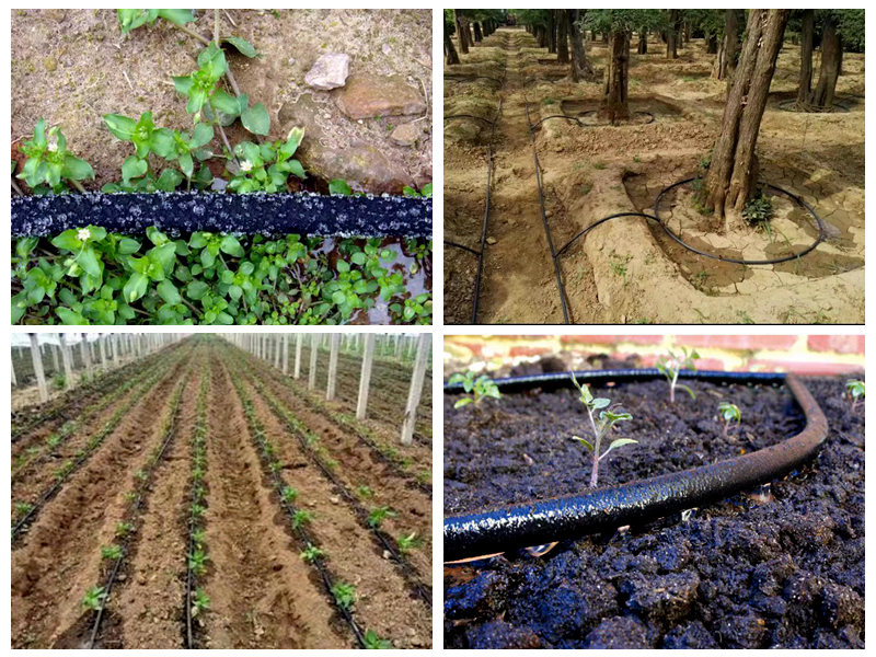 Jak se gumová namáčecí hadice používá k zavlažování?